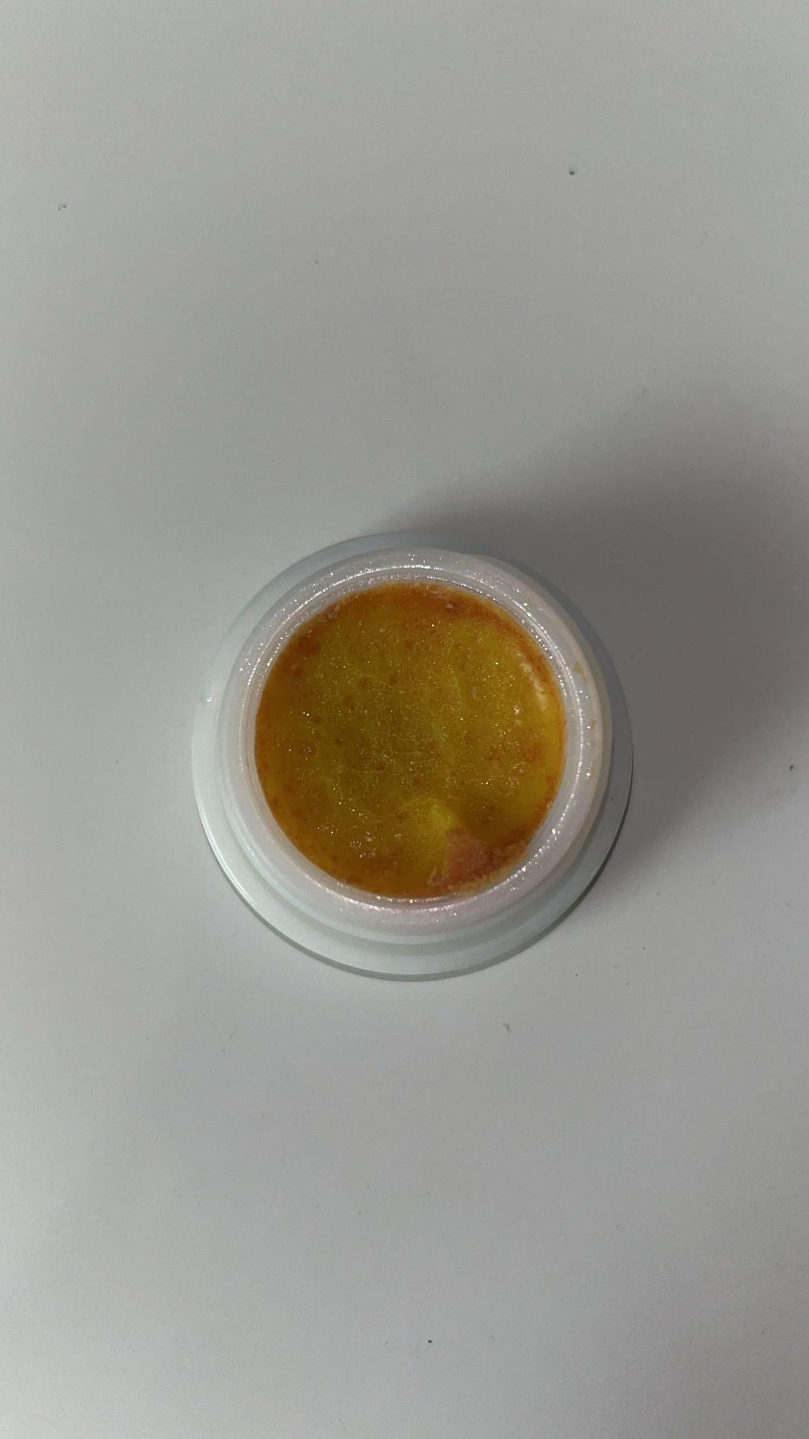 Cockroach Killer Powder Gel (Pack of 2) | Fast-Acting Roach Control | Long-Lasting Pest Solution for Home & Kitchen